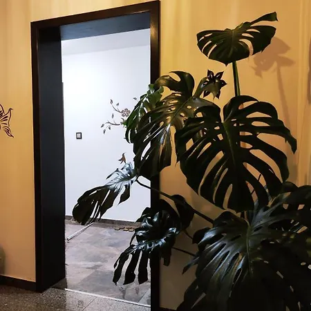 Bed & Breakfast Lawenda